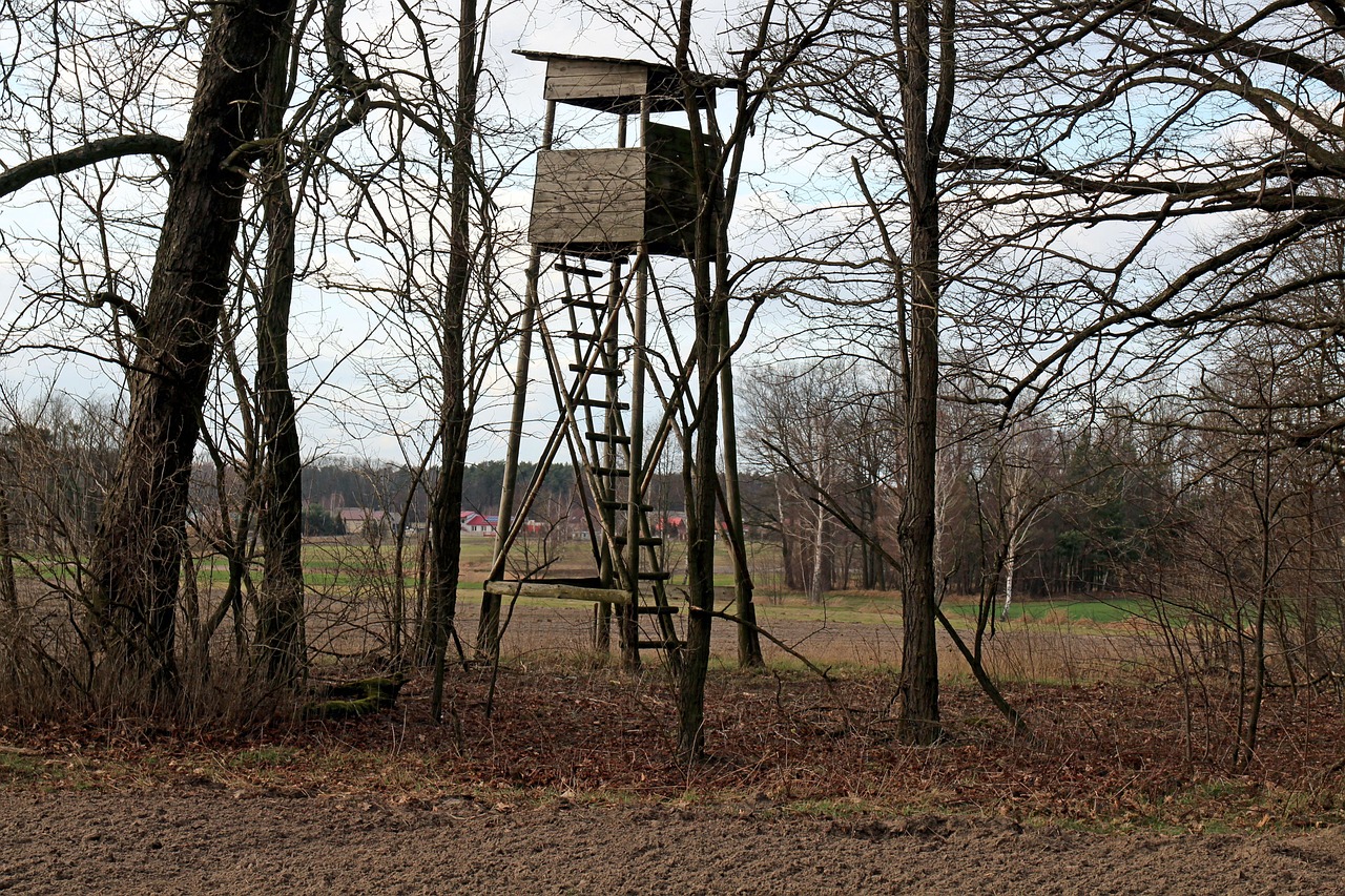 Ladder tree stand with a platform in an autumn forest