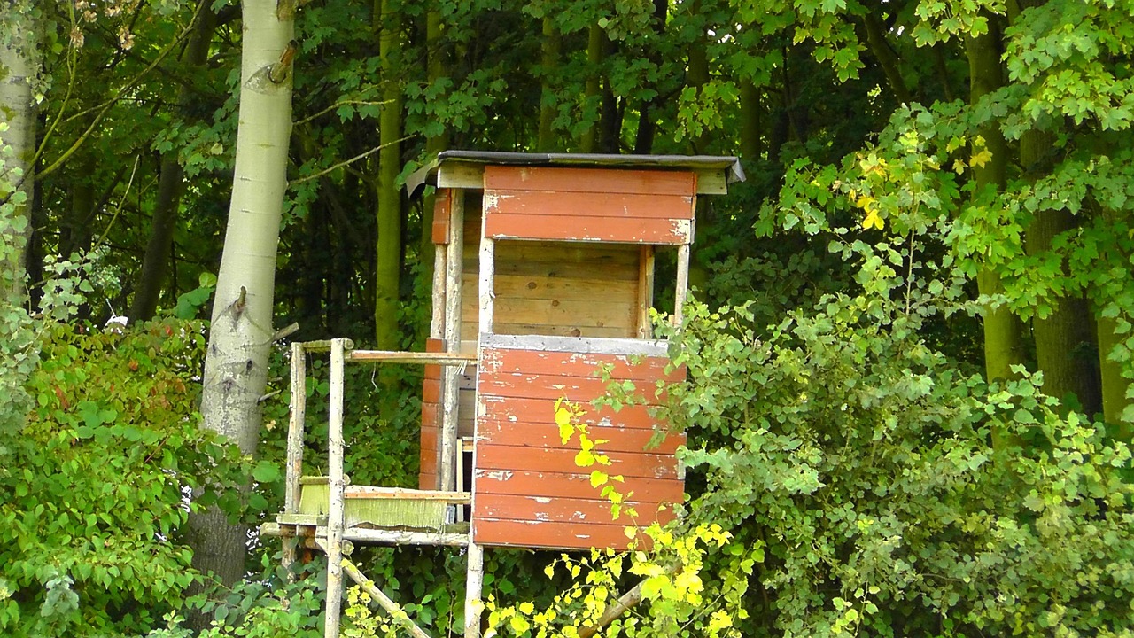 Enclosed wooden hunting stand with side panels hidden in green woods
