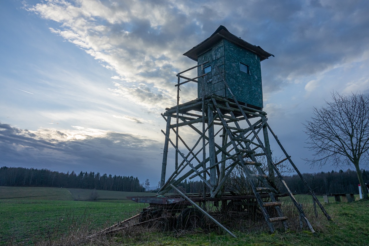 Elevated hunting tower with a long wooden ladder under a dramatic sky
