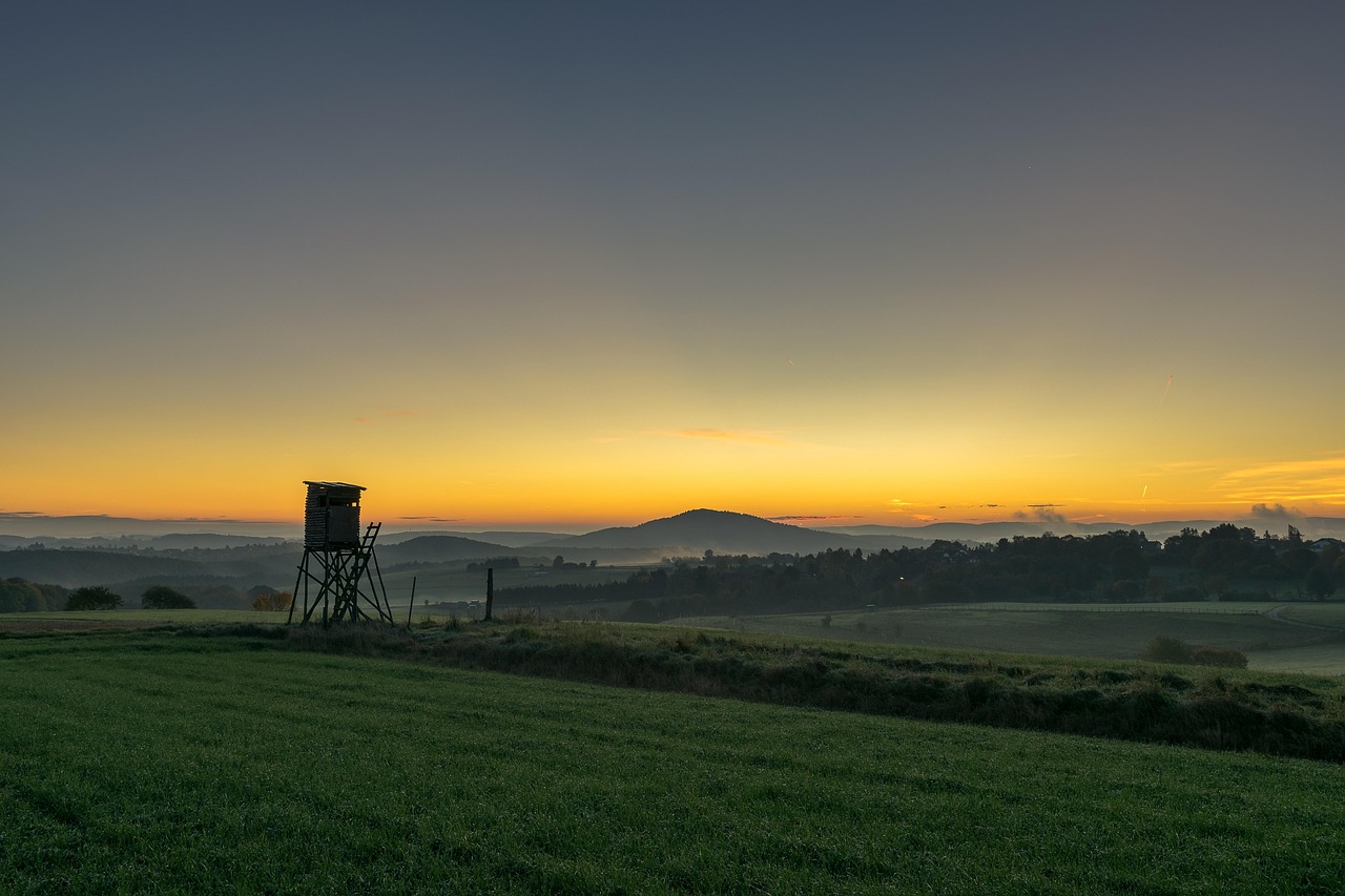 Elevated deer stand on a field edge at sunrise