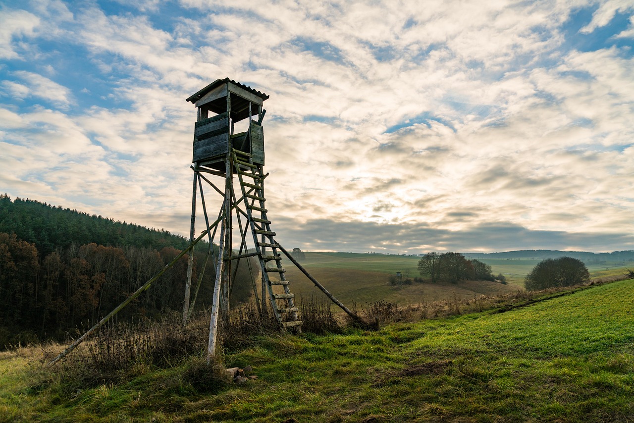Tree Stands 101: Types, Safety, and How to Choose the Best Deer Hunting Stand (2026)